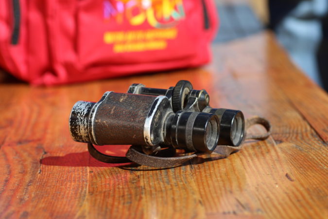 Pension Haus Maria Berggeniesser Gastgeber Fernglas