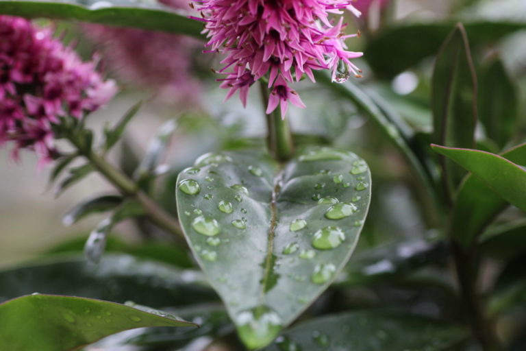 Pension Haus Maria Gartenmoment