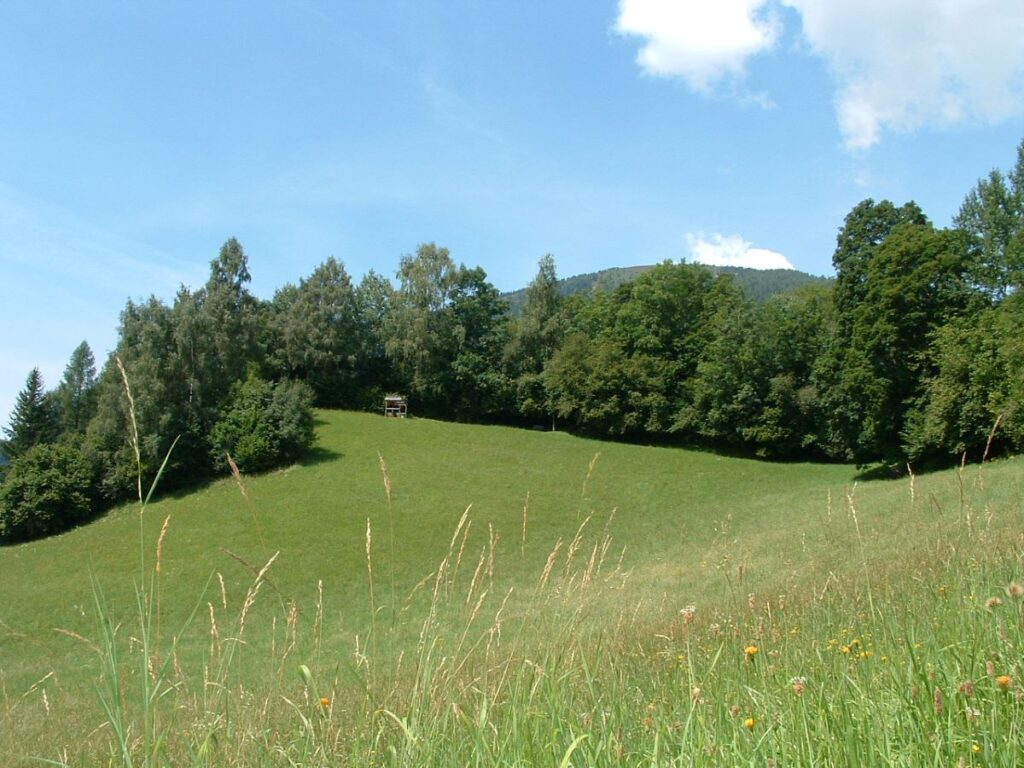 Pension Haus Maria Berauschende Plätze (1)