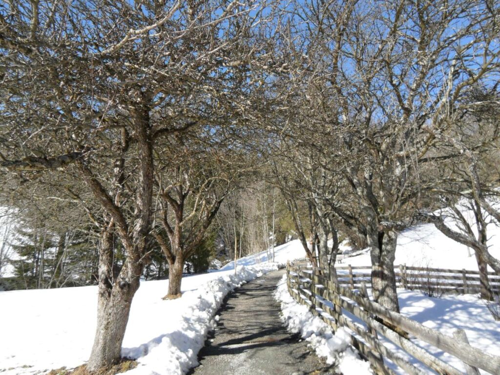 Pension Haus Maria Thermenrundweg im Winter (1)